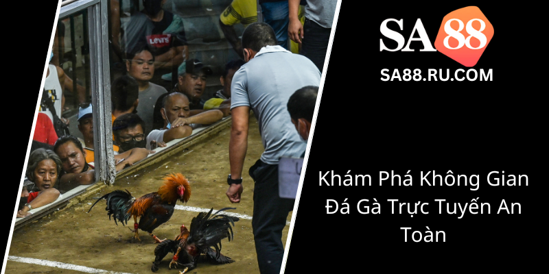 Đá Gà Cựa Dao Philippines - Truyền Thống Và Kỹ Năng Đỉnh Cao Với SA88 2 Kham Pha Khong Gian Da Ga Truc Tuyen An Toan0