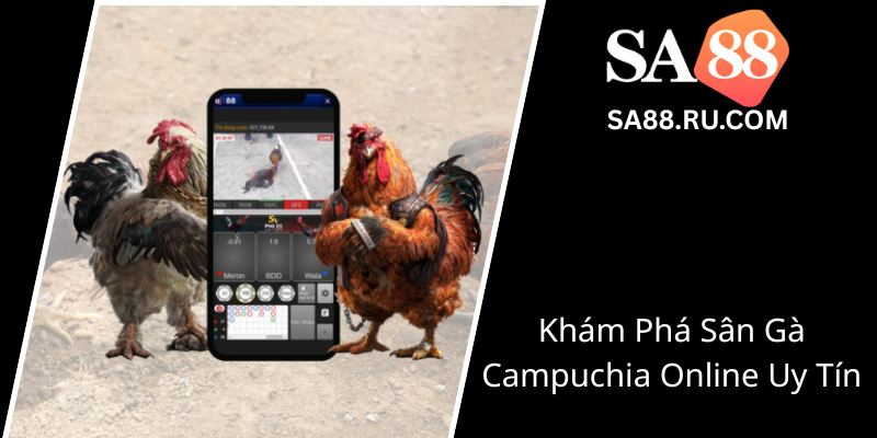 Đá Gà Campuchia Trực Tiếp - Trải Nghiệm Cuộc Chơi Đỉnh Cao Với SA88 1 Kham Pha San Ga Campuchia Online Uy Tin0
