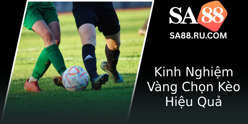 Kinh Nghiệm Vàng Chọn Kèo Hiệu Quả Kinh Nghiệm Vàng Chọn Kèo Hiệu Quả