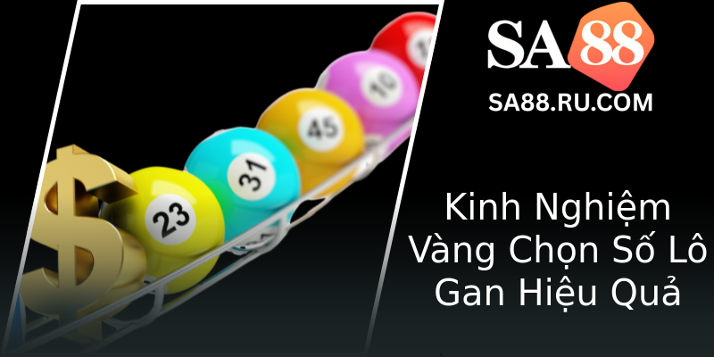 Kinh Nghiệm Vàng Chọn Số Lô Gan Hiệu Quả Kinh Nghiệm Vàng Chọn Số Lô Gan Hiệu Quả