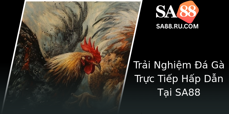 Trải Nghiệm Đá Gà Trực Tiếp Hấp Dẫn Tại SA88 Trải Nghiệm Đá Gà Trực Tiếp Hấp Dẫn Tại SA88