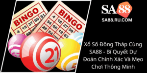 Xo So Dong Thap Cung Sa88 Bi Quyet Du Doan Chinh Xac Va Meo Choi Thong Minh0
